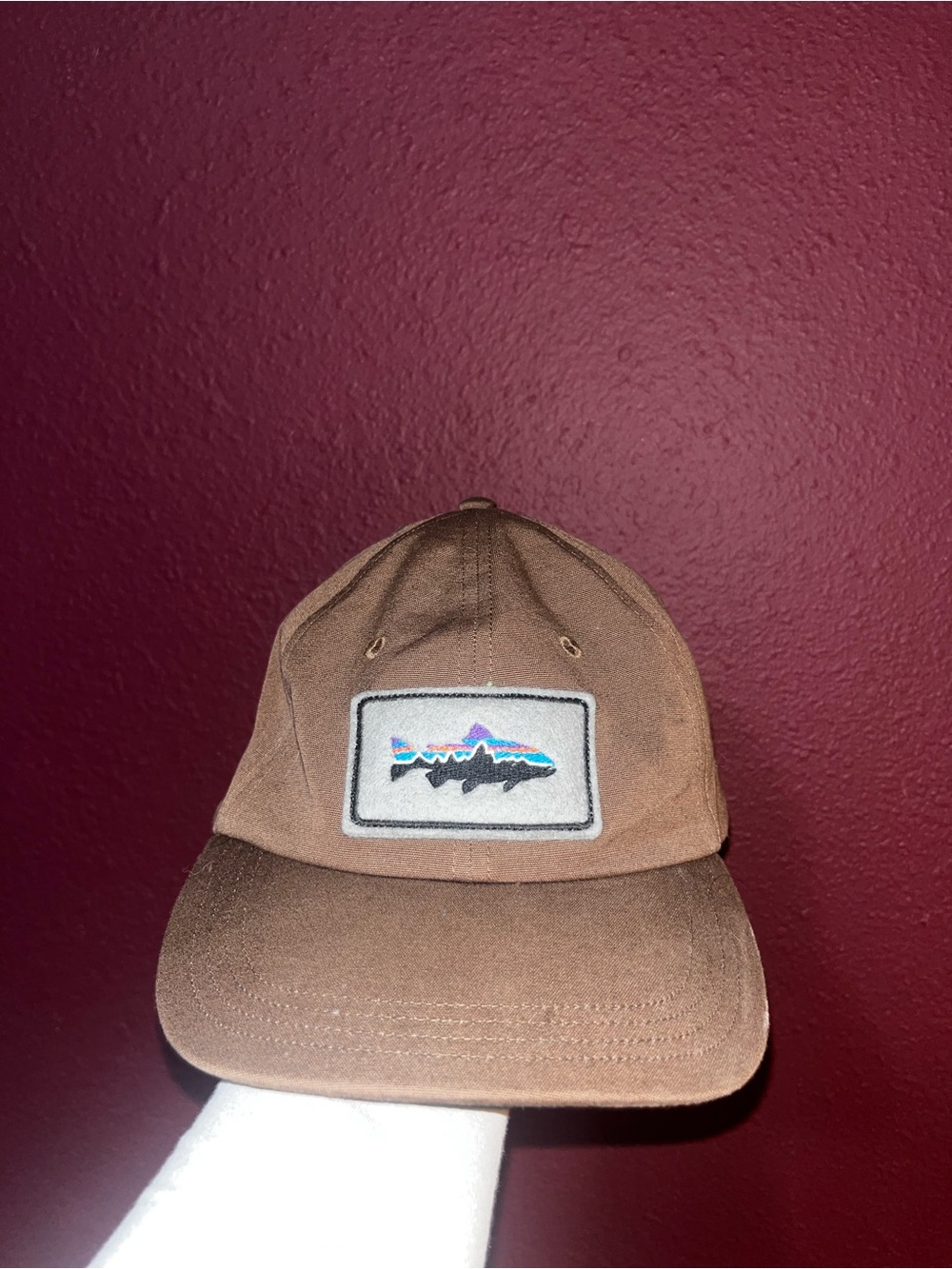 Patagonia Brown Trout Patch Baseball Cap
